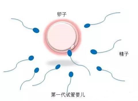 智能实验室